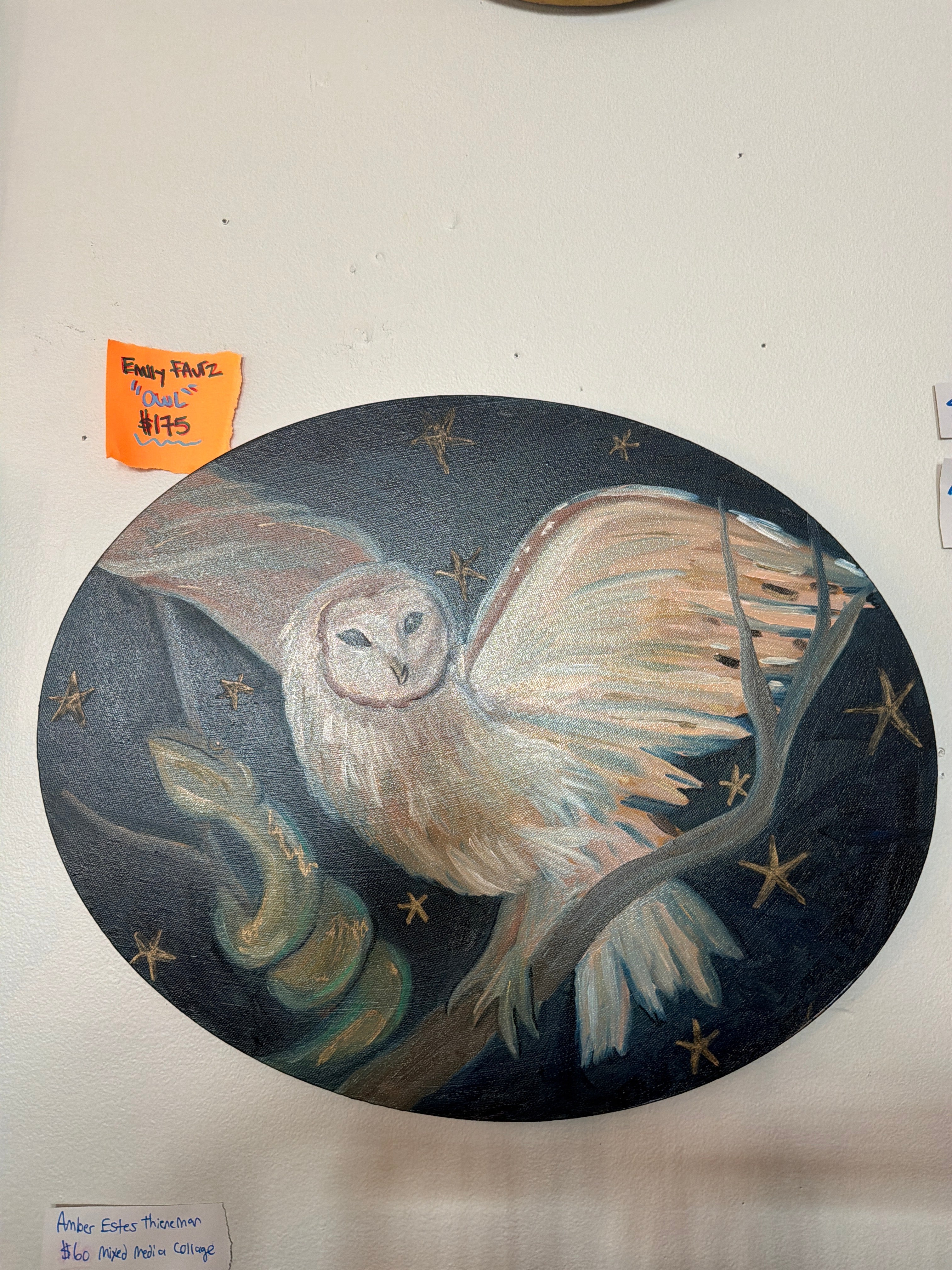 Emily Fautz: Owl Painting Acrylic on Canvas