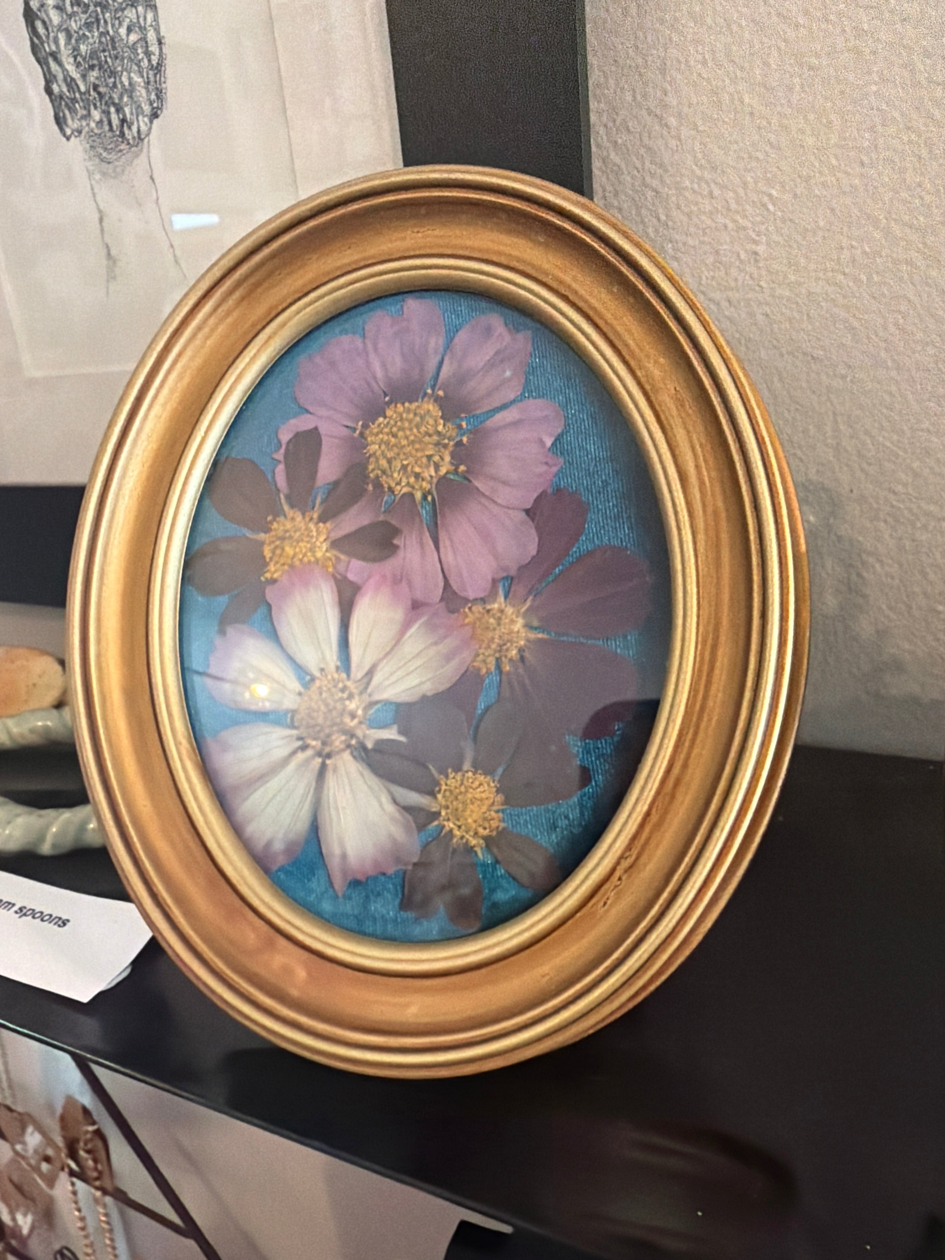 Pressed Cosmos, oval frame 6"x5" - by Marissa Huber