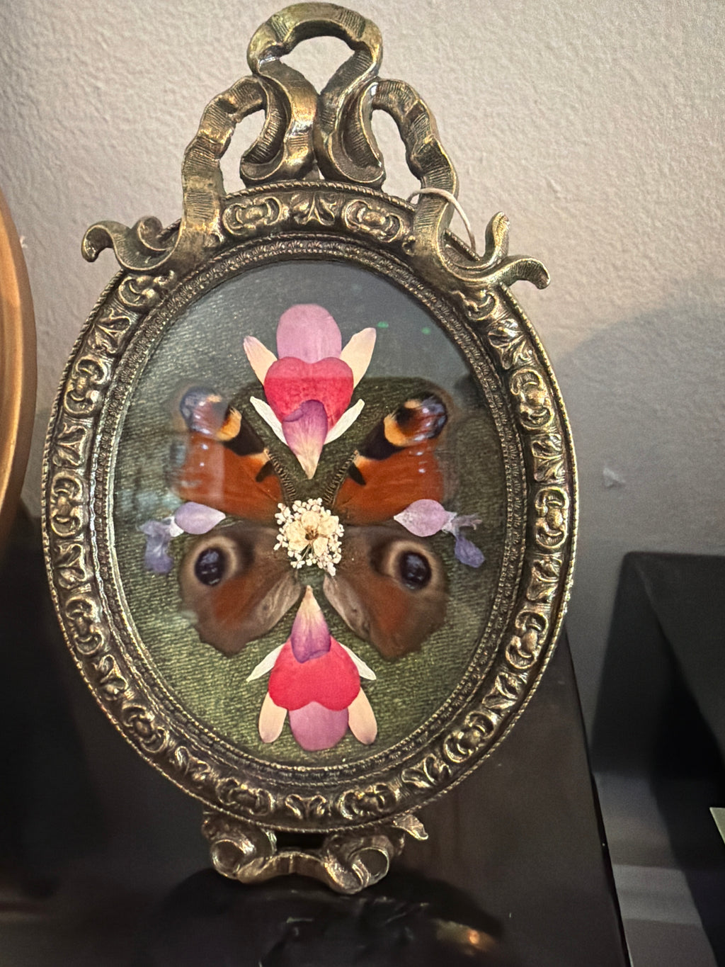 Insect & Flower Framed Art by Dried Botanica