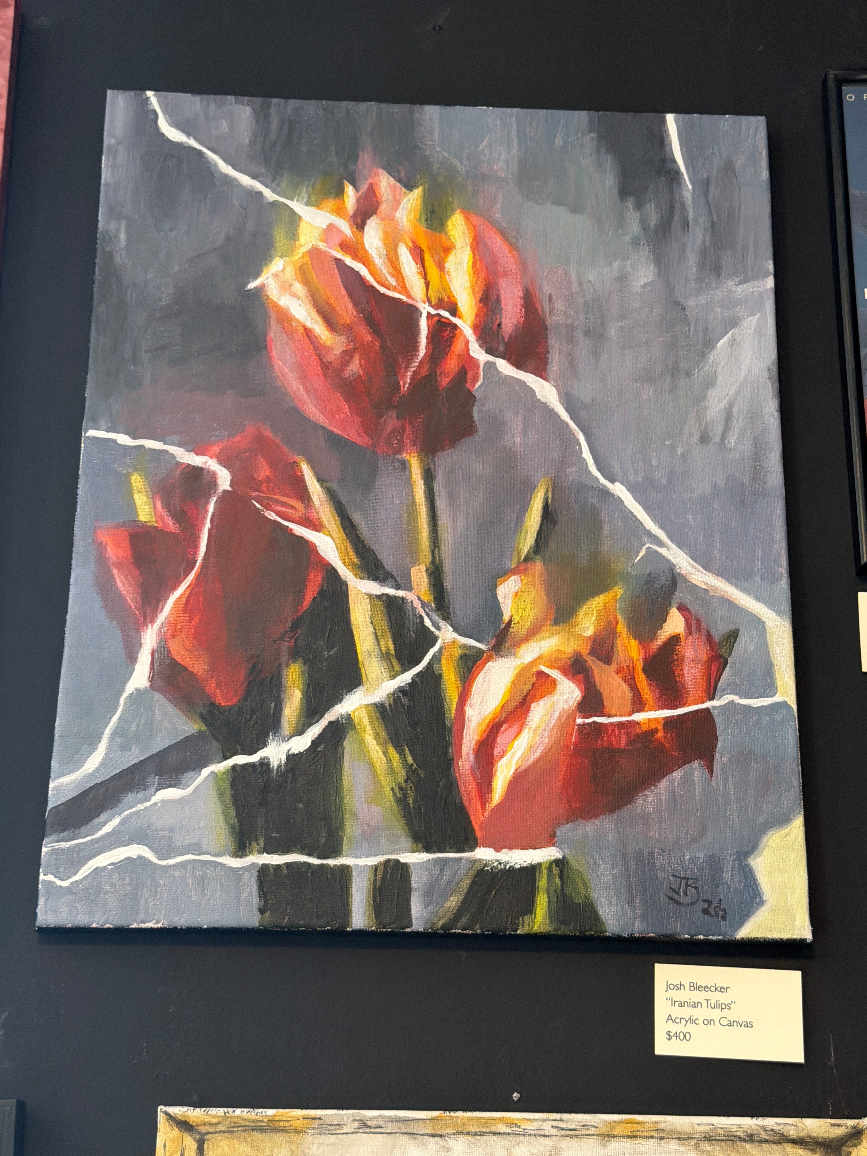 Doomscroll: Josh Bleecker: Iranian Tulips