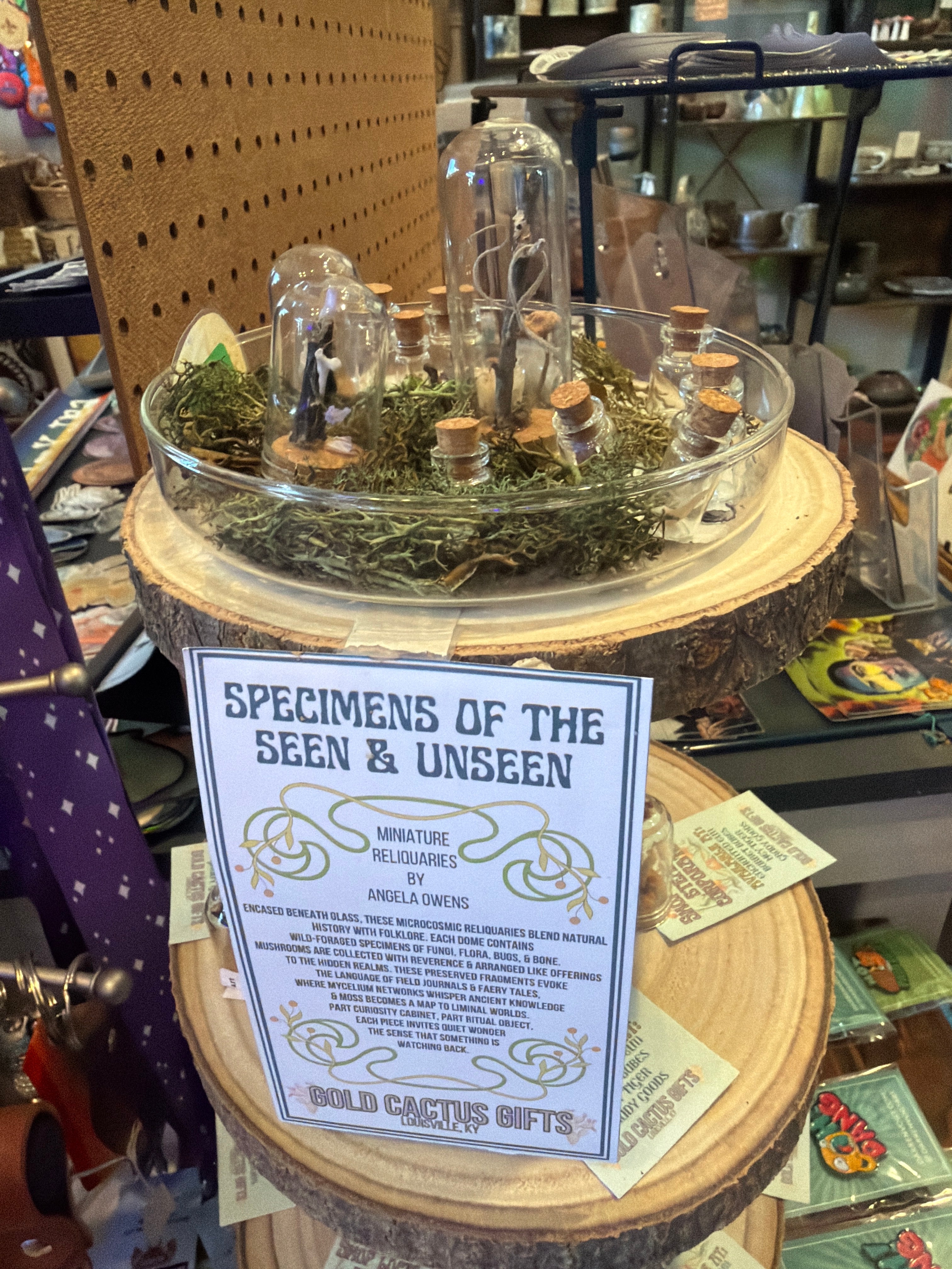 Gold Cactus Gifts: Glass Domes