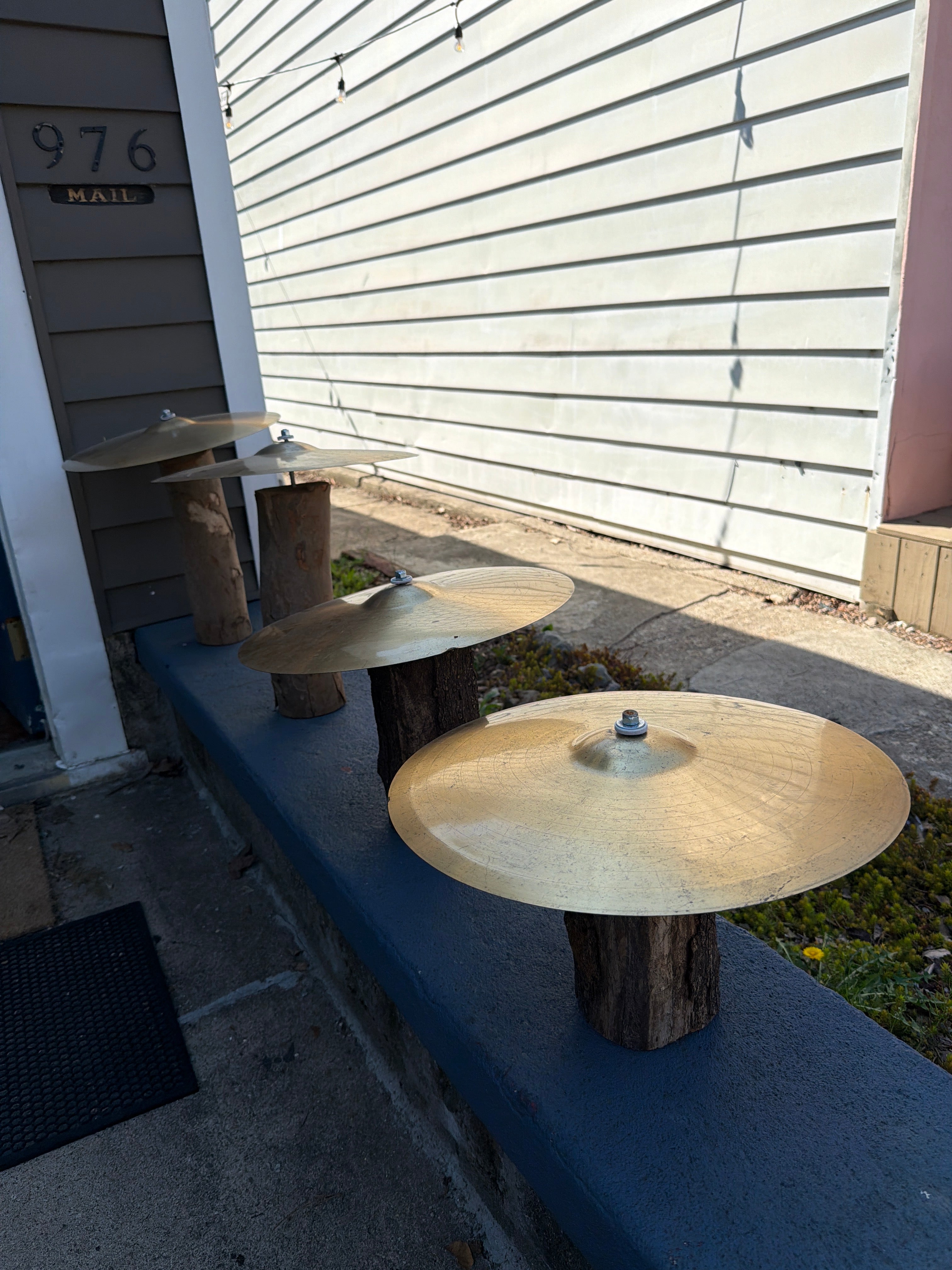 Cymbal Mushrooms Kinetic Yard Art by Roni Reed