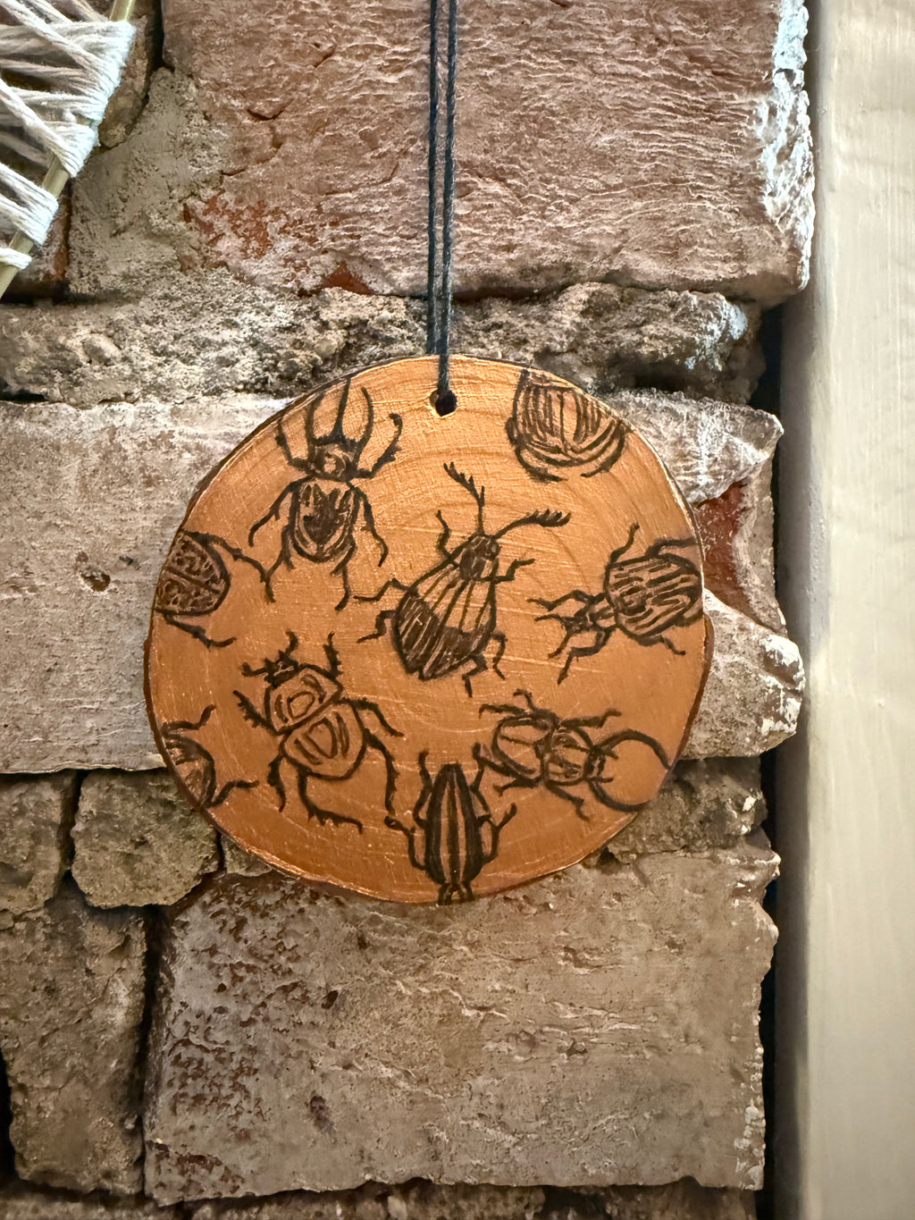 Round Wood Insect Artwork: Rachel Stottmann
