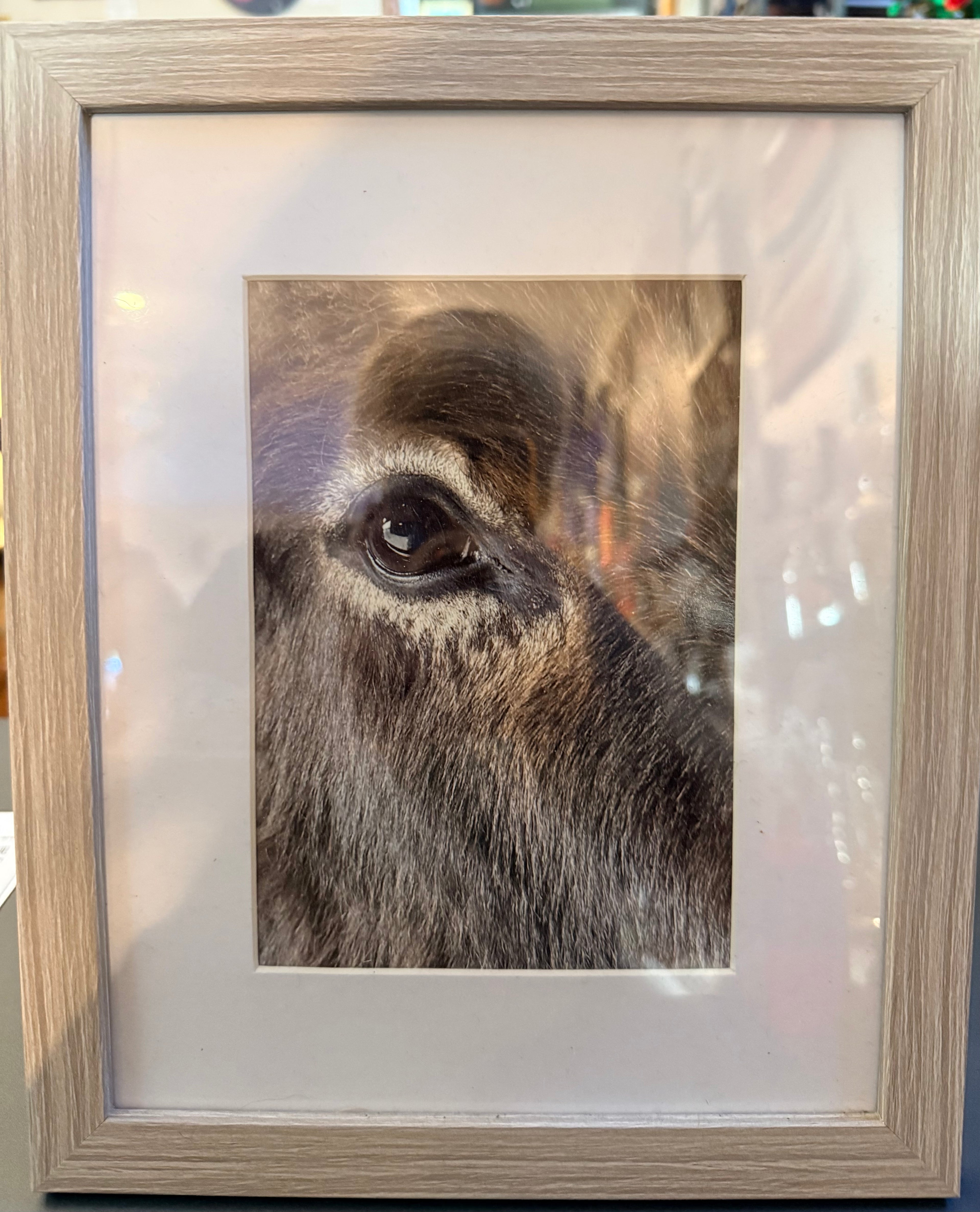 Art of Noticing: Emmy: Photographs & Magnets