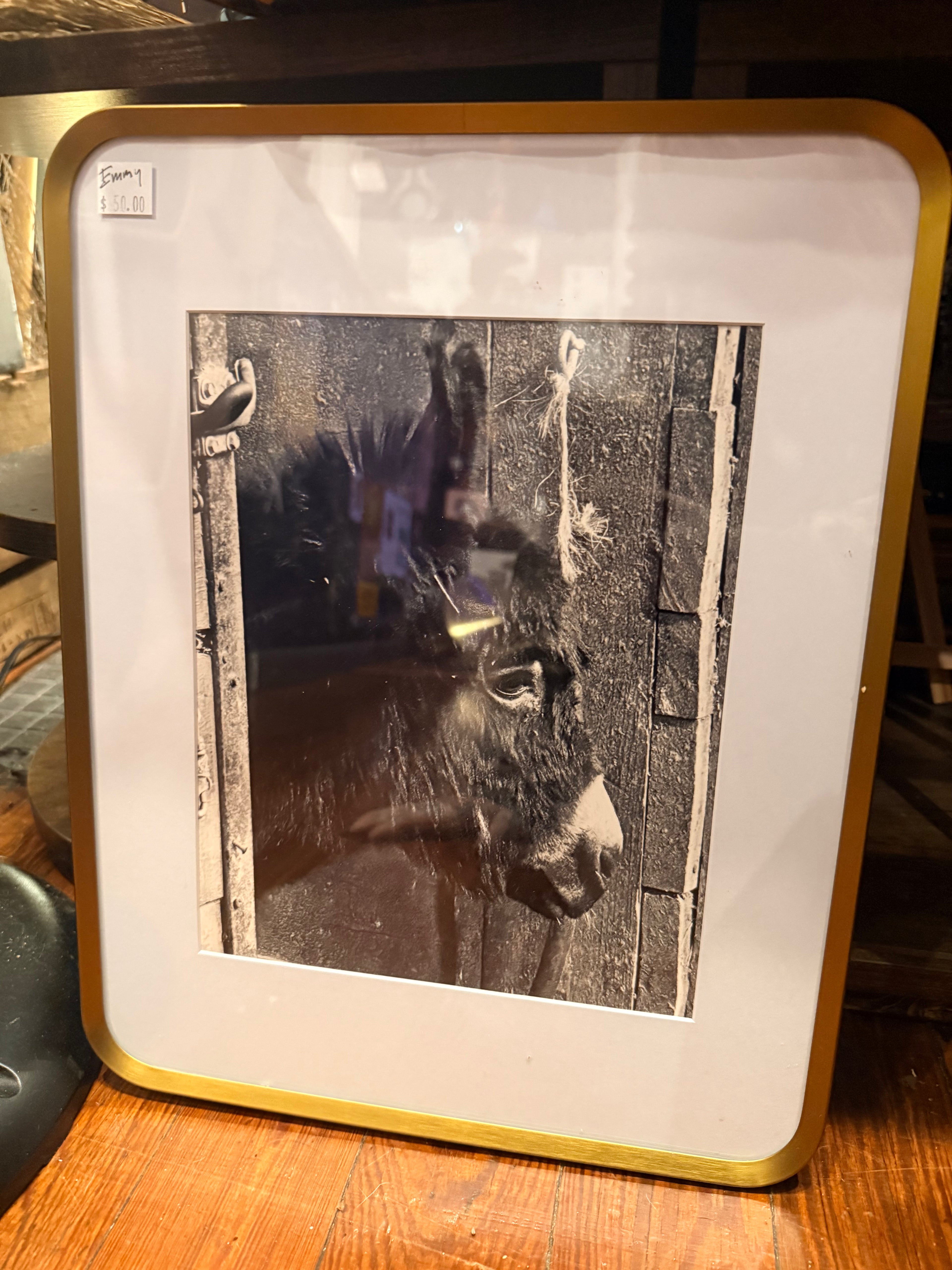 Art of Noticing: Emmy: Photographs & Magnets