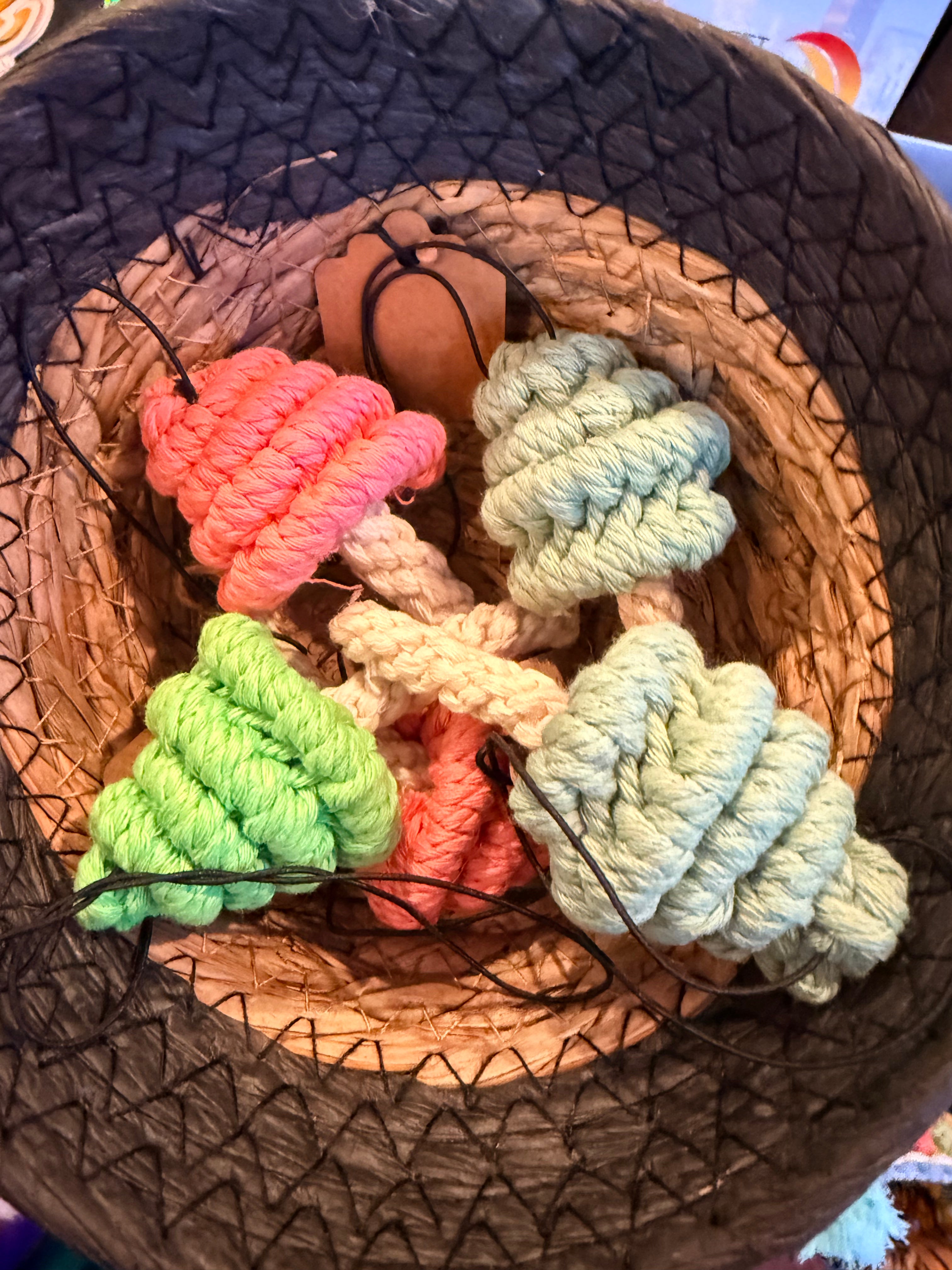 Carson Rakestraw: Naturally Clean: Mushroom Car Charms
