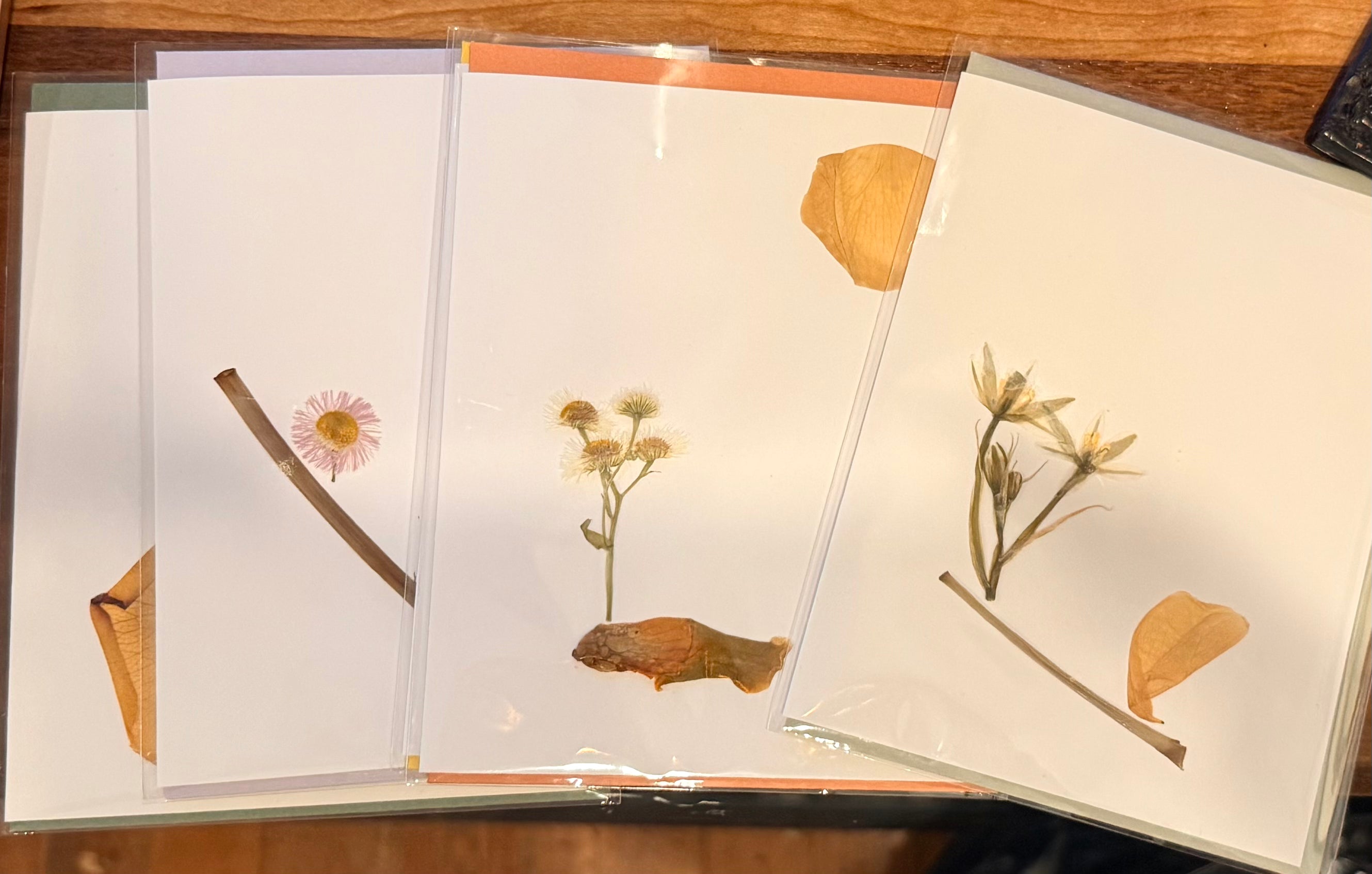 Greeting Cards: Ada Asenjo