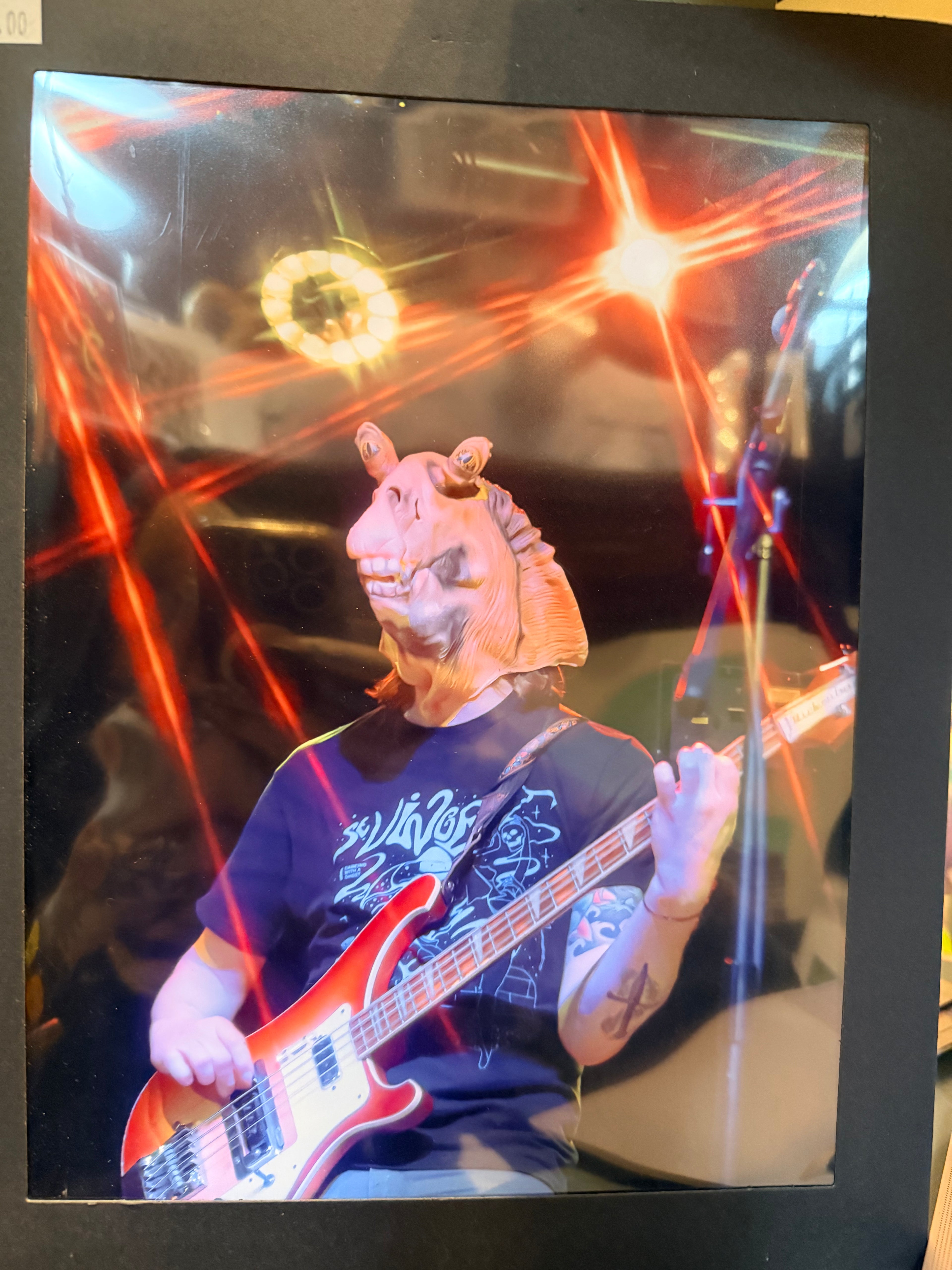 Kat Flaherty / Wyld Craft Design: Photographic Prints