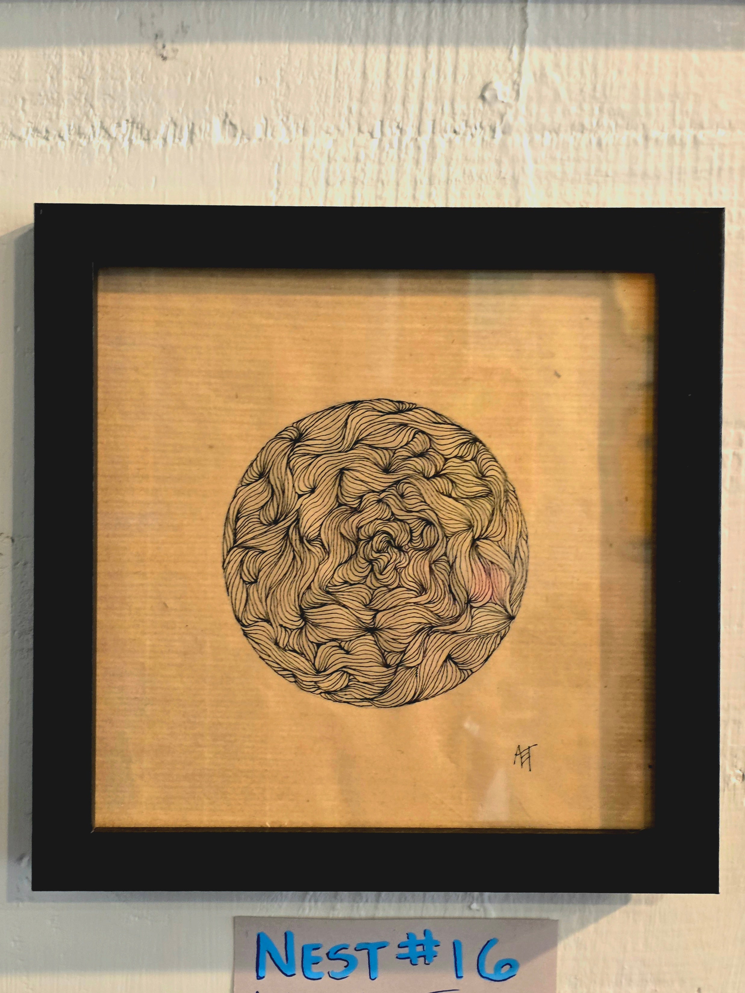 Nest 0016”x6”Archival ink on rice paper - Amber Estes Thieneman