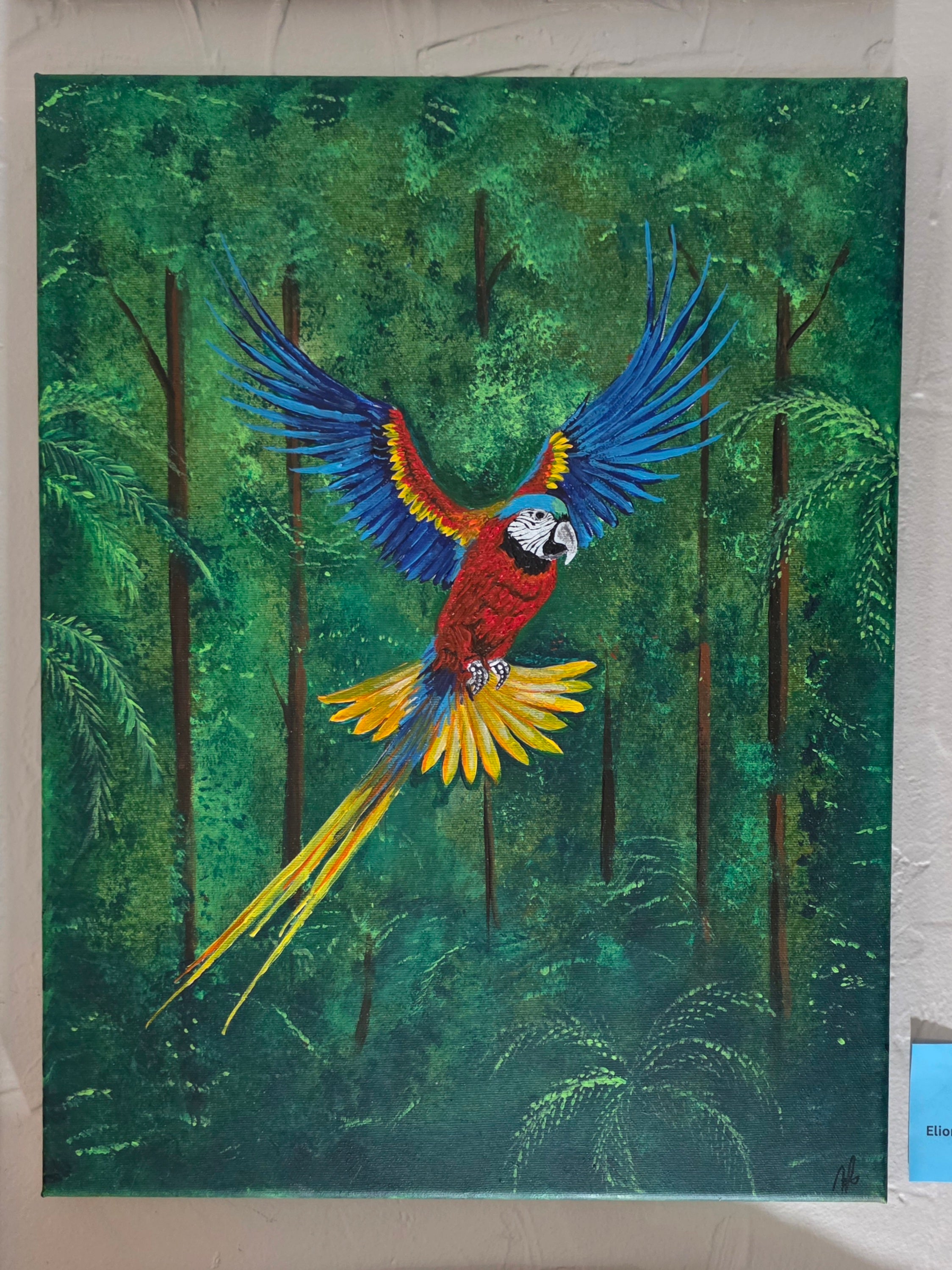 Parrot, acrylic on canvas, 14"x18" by Elionais Acosta Santiesteban